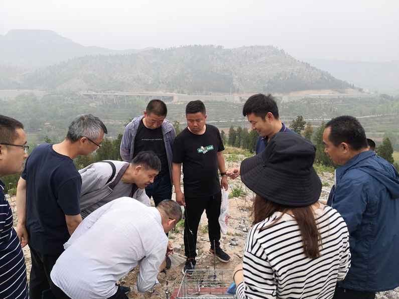 现场图片一_副本.jpg